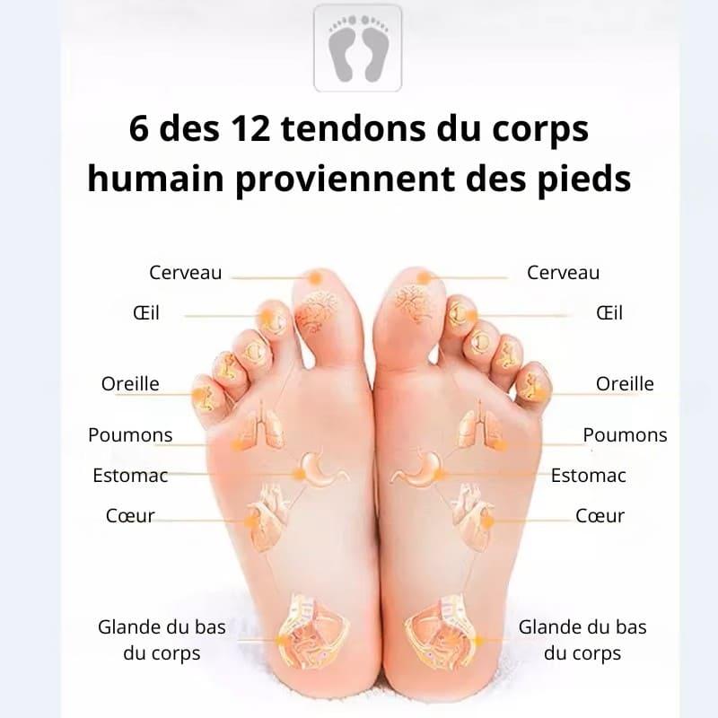 Tapis EMS pour le massage des pieds : tendons du corps